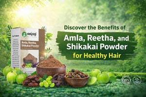 স্বাস্থ্যকর চুলের জন্য আমলা, রিঠা ও শিকাকাই পাউডারের উপকারিতা জানুন