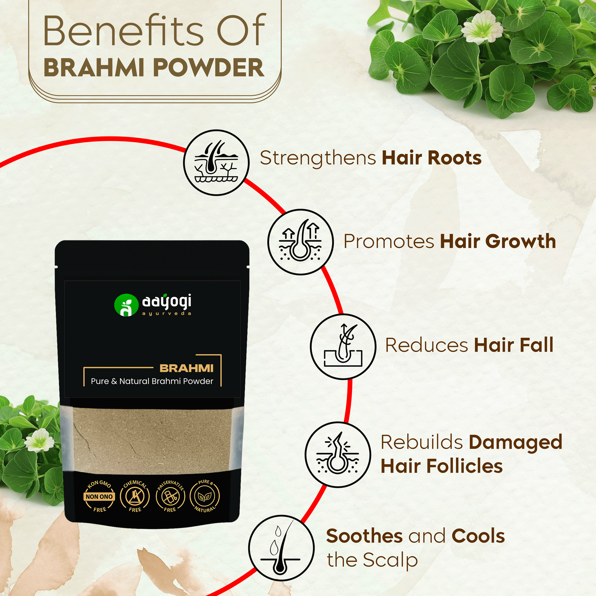 Benefits of Bhrami powder