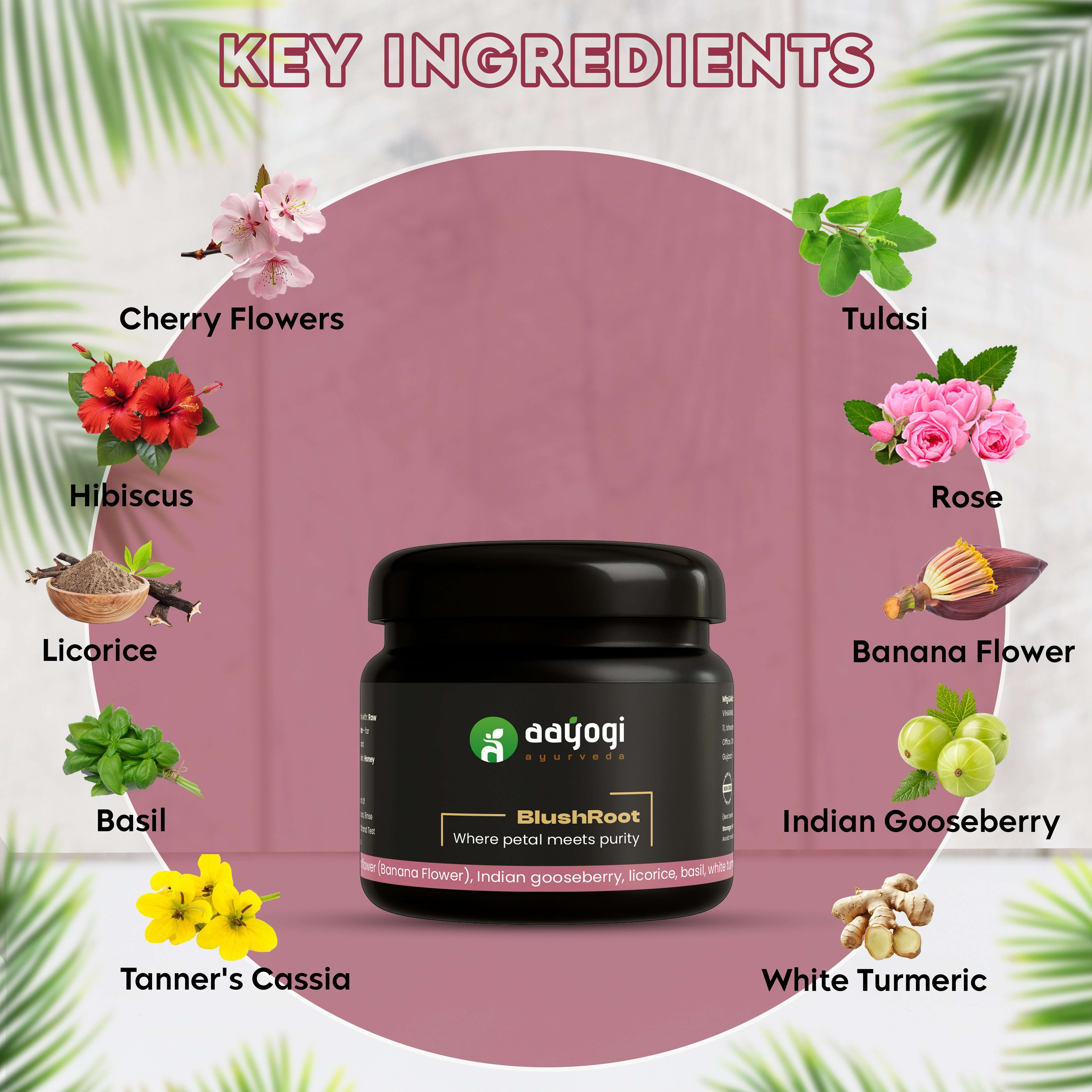 Aayogi Ayurveda BlushRoot Hibiscus Face Wash Powder with key natural ingredients like hibiscus, rose, amla, and white turmeric.