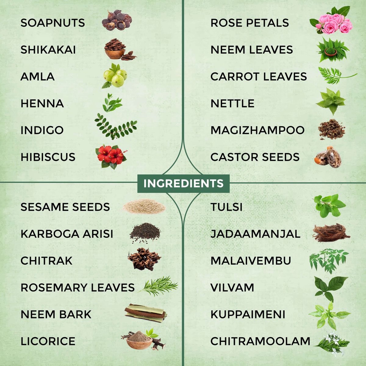 Aayogi Ayurveda Keshamrit ingredients list featuring Ayurvedic botanicals such as Shikakai, Amla, Neem, Hibiscus, and Tulsi.